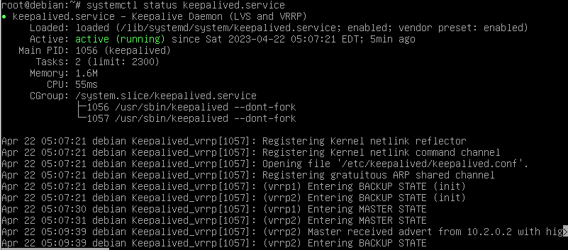linux_r1_keepalived-service-view