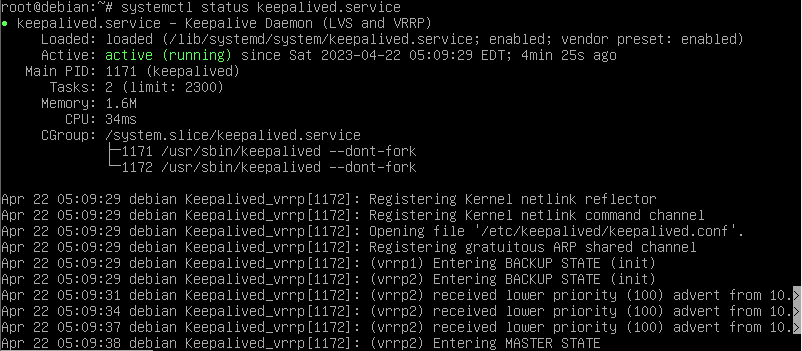 linux_r2_keepalived-service-view